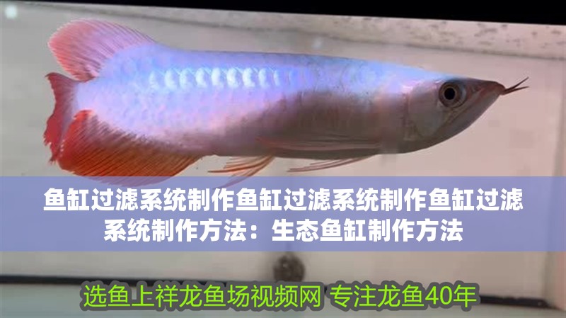 魚(yú)缸過(guò)濾系統(tǒng)制作魚(yú)缸過(guò)濾系統(tǒng)制作魚(yú)缸過(guò)濾系統(tǒng)制作方法：生態(tài)魚(yú)缸制作方法
