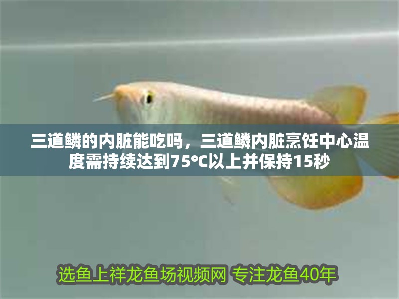 三道鱗的內臟能吃嗎，三道鱗內臟烹飪中心溫度需持續達到75℃以上并保持15秒