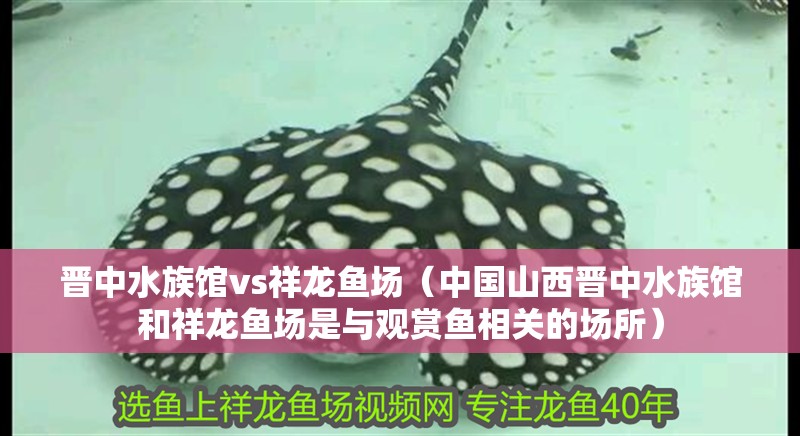 晉中水族館vs祥龍魚場（中國山西晉中水族館和祥龍魚場是與觀賞魚相關的場所）