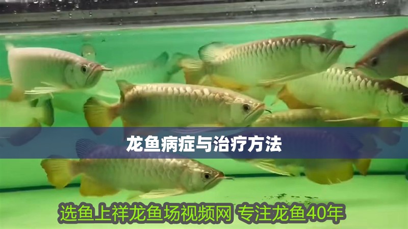 龍魚病癥與治療方法