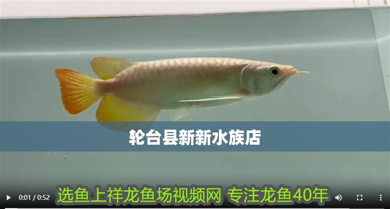 輪臺縣新新水族店