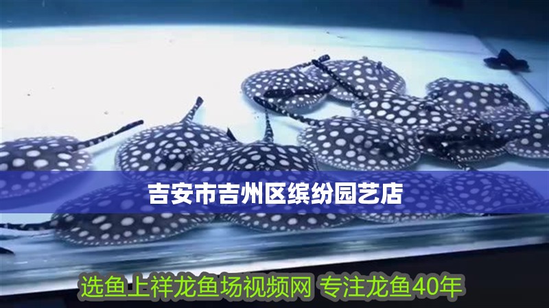 吉安市吉州區繽紛園藝店 全國水族館企業名錄 第2張 吉安市吉州區繽紛園藝店 吉安市吉州區繽紛園藝店 全國水族館企業名錄 第2張