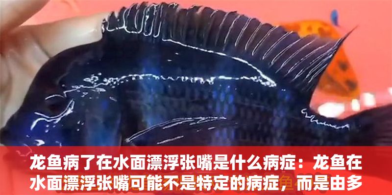 龍魚病了在水面漂浮張嘴是什么病癥：龍魚在水面漂浮張嘴可能不是特定的病癥，而是由多種原因引起的