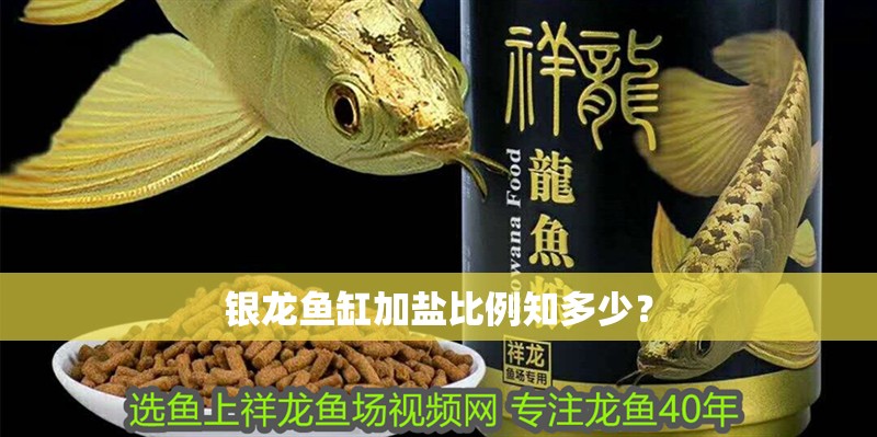銀龍魚缸加鹽比例知多少？