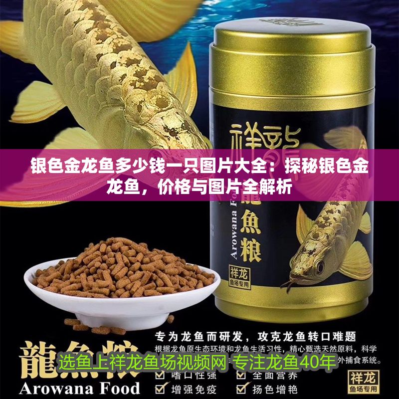 銀色金龍魚多少錢一只圖片大全：探秘銀色金龍魚，價格與圖片全解析