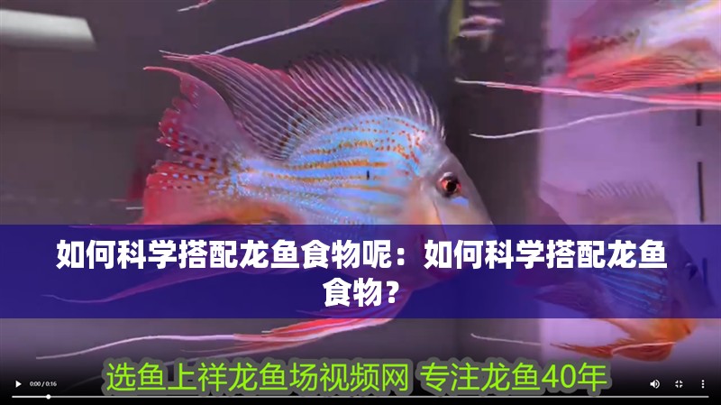 如何科學(xué)搭配龍魚食物呢：如何科學(xué)搭配龍魚食物？ 如何科學(xué)搭配龍魚食物呢：如何科學(xué)搭配龍魚食物？ 水族問答