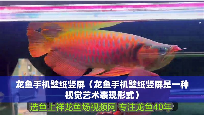 龍魚手機壁紙豎屏（龍魚手機壁紙豎屏是一種視覺藝術表現形式）
