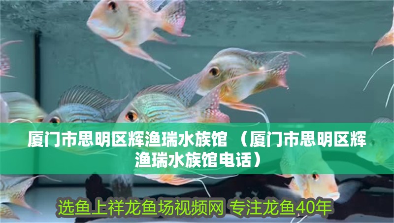廈門市思明區輝漁瑞水族館 （廈門市思明區輝漁瑞水族館電話）