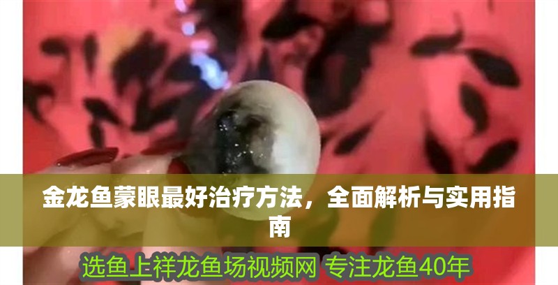 金龍魚蒙眼最好治療方法，全面解析與實用指南