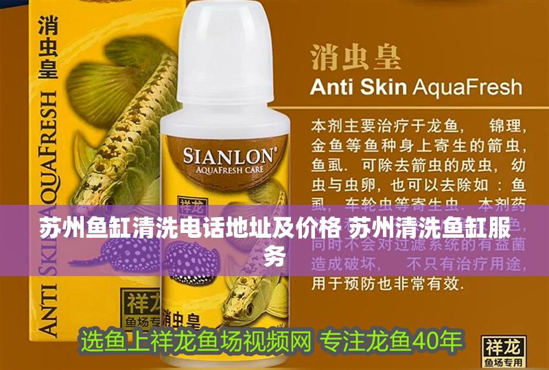 蘇州魚缸清洗電話地址及價格 蘇州清洗魚缸服務 蘇州魚缸清洗電話地址及價格 蘇州清洗魚缸服務 龍魚百科 第1張