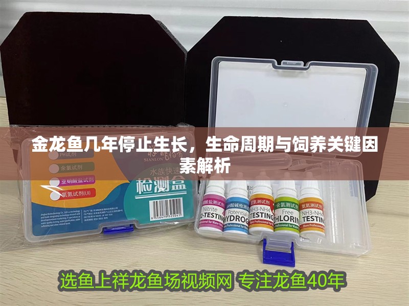 金龍魚幾年停止生長，生命周期與飼養關鍵因素解析