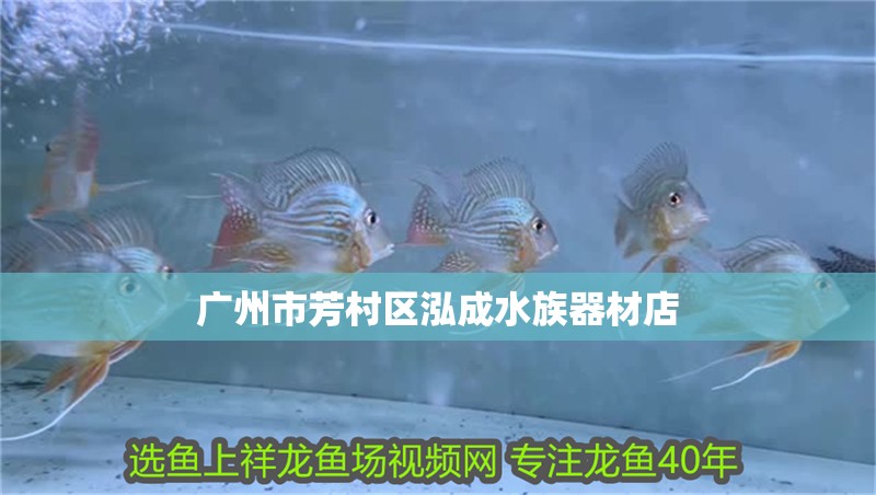 廣州市芳村區(qū)泓成水族器材店
