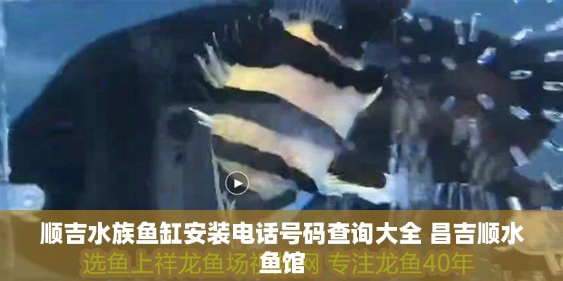 順吉水族魚缸安裝電話號碼查詢大全 昌吉順水魚館