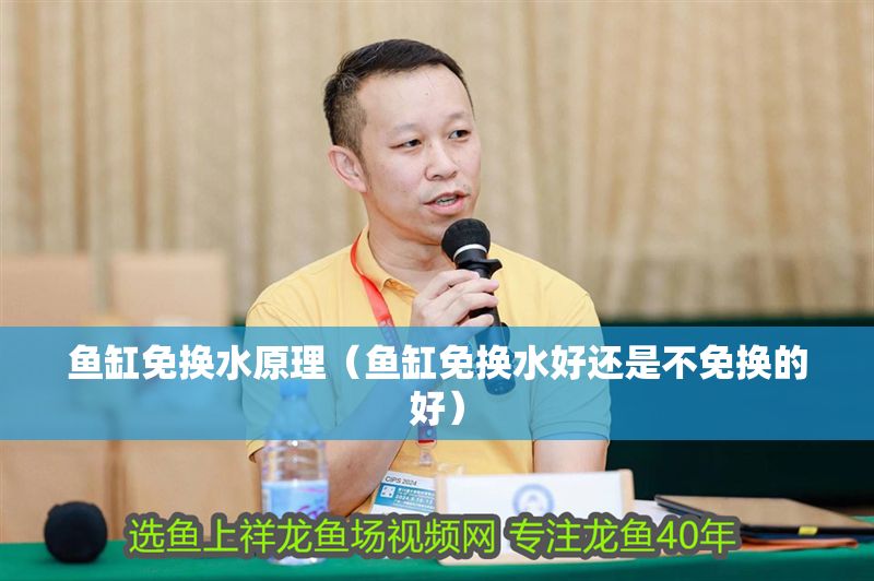 魚缸免換水原理（魚缸免換水好還是不免換的好）