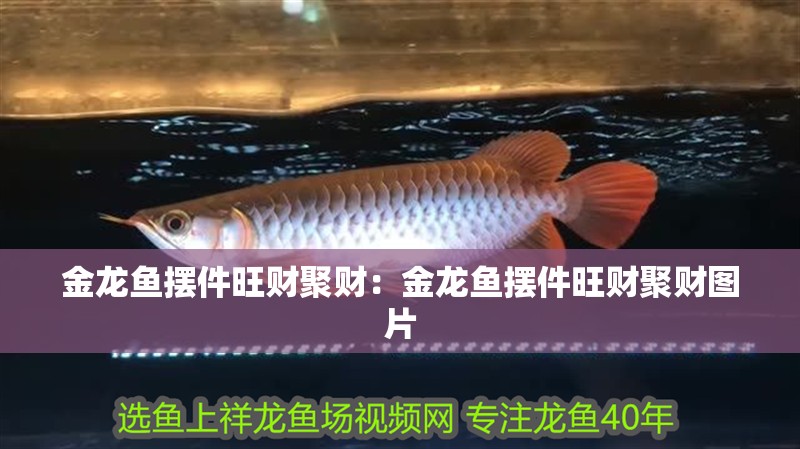 金龍魚擺件旺財聚財：金龍魚擺件旺財聚財圖片