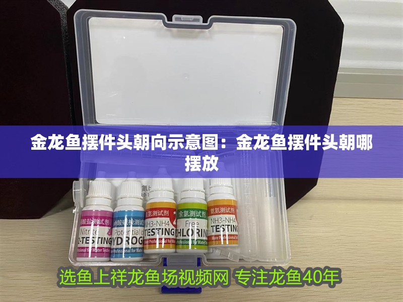金龍魚(yú)擺件頭朝向示意圖：金龍魚(yú)擺件頭朝哪擺放