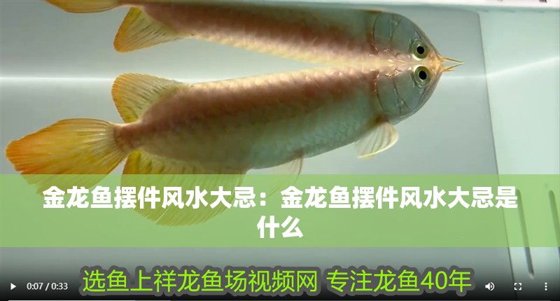 金龍魚擺件風水大忌：金龍魚擺件風水大忌是什么