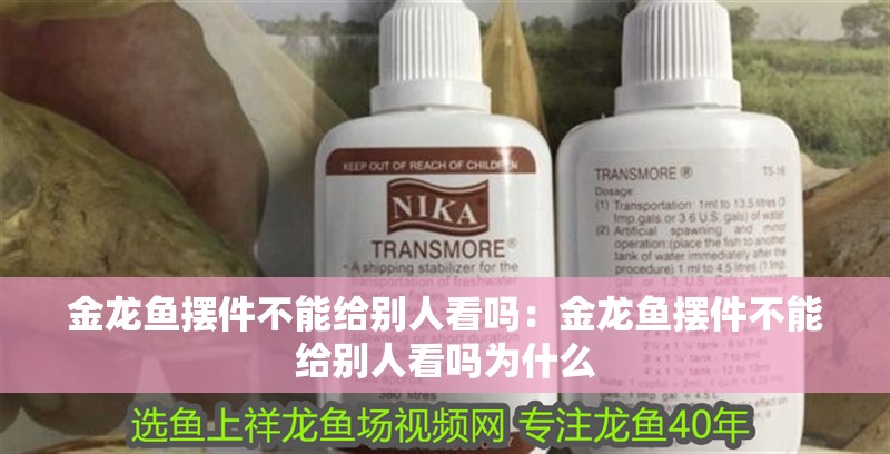 金龍魚擺件不能給別人看嗎：金龍魚擺件不能給別人看嗎為什么