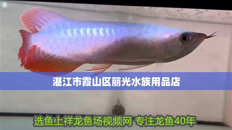 湛江市霞山區麗光水族用品店