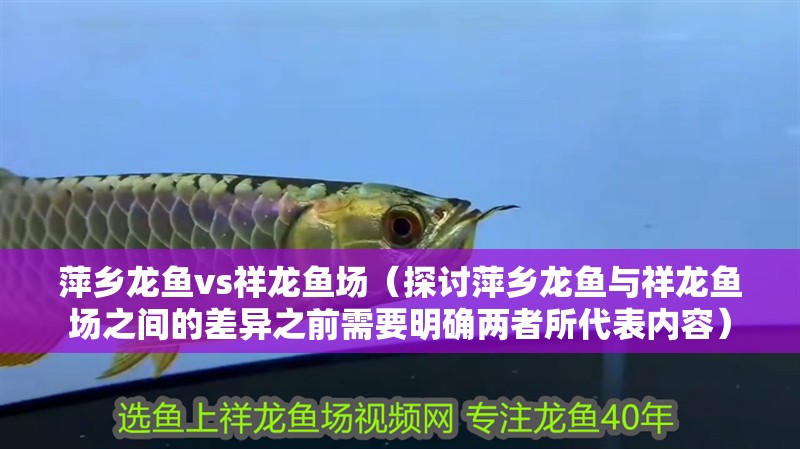 萍鄉龍魚vs祥龍魚場（探討萍鄉龍魚與祥龍魚場之間的差異之前需要明確兩者所代表內容）