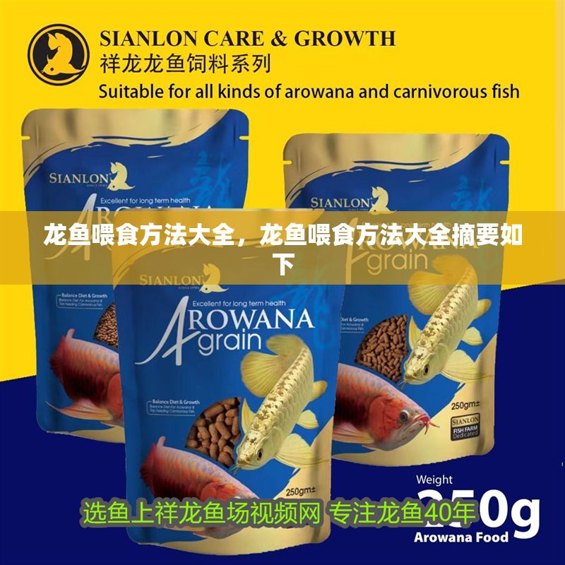 龍魚喂食方法大全，龍魚喂食方法大全摘要如下