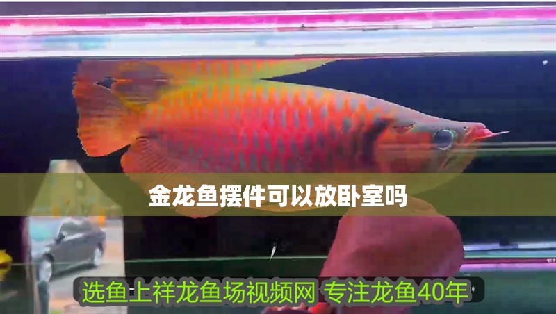 金龍魚擺件可以放臥室嗎