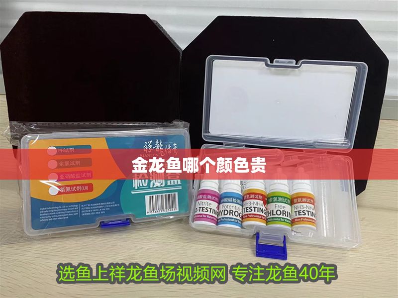金龍魚哪個顏色貴