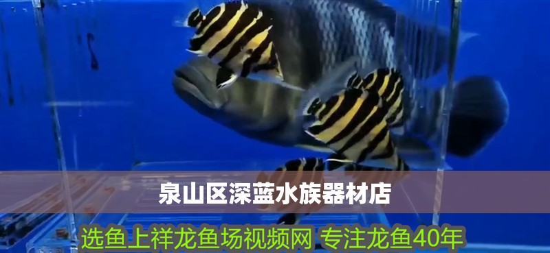 泉山區深藍水族器材店