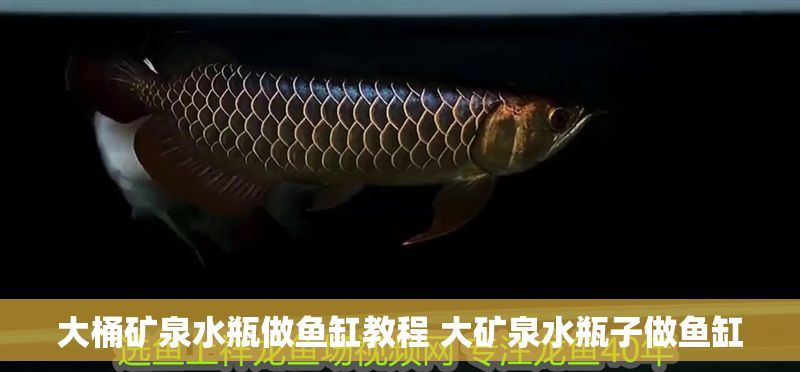 大桶礦泉水瓶做魚缸教程 大礦泉水瓶子做魚缸