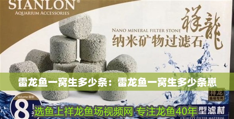 雷龍魚一窩生多少條：雷龍魚一窩生多少條崽 雷龍魚一窩生多少條：雷龍魚一窩生多少條崽 水族問答