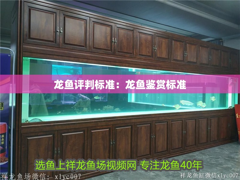 龍魚評判標準：龍魚鑒賞標準