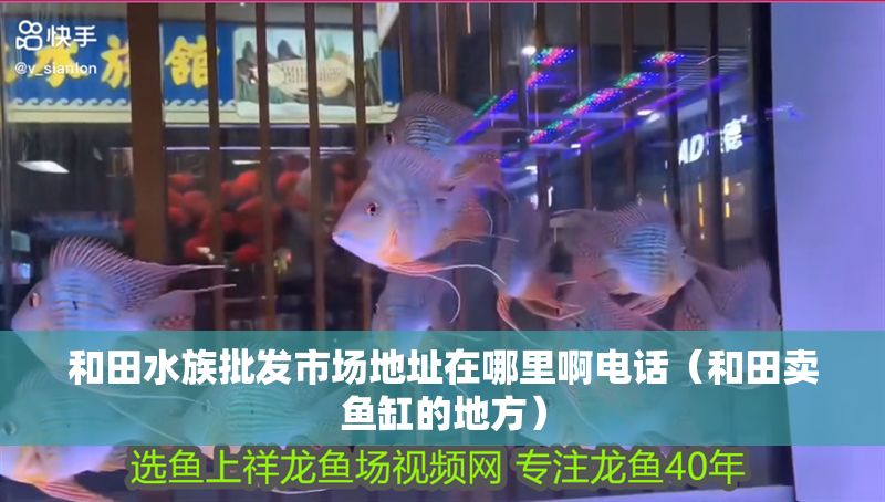 和田水族批發(fā)市場地址在哪里啊電話（和田賣魚缸的地方）