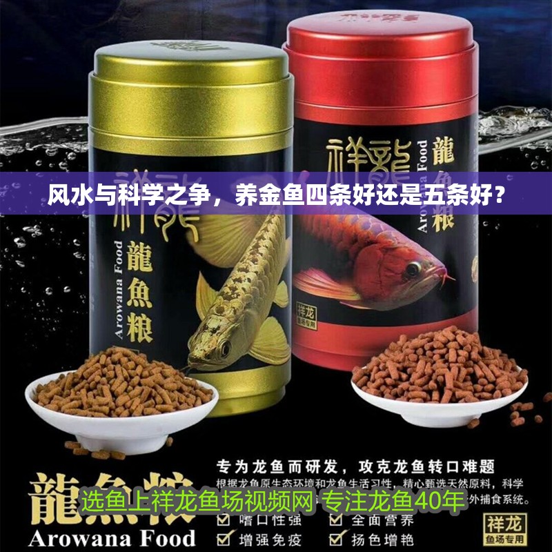 風水與科學之爭，養金魚四條好還是五條好？
