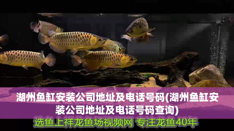<strong><mark>湖州</mark></strong>魚缸安裝公司地址及電話號碼(<strong><mark>湖州</mark></strong>魚缸安裝公司地址及電話號碼查詢)