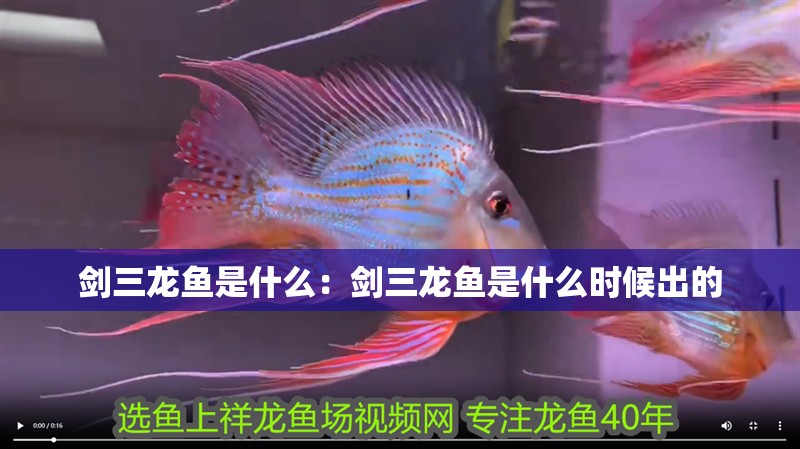 劍三龍魚是什么：劍三龍魚是什么時(shí)候出的
