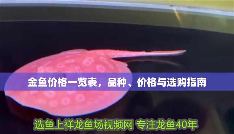 金魚價(jià)格一覽表，品種、價(jià)格與選購指南