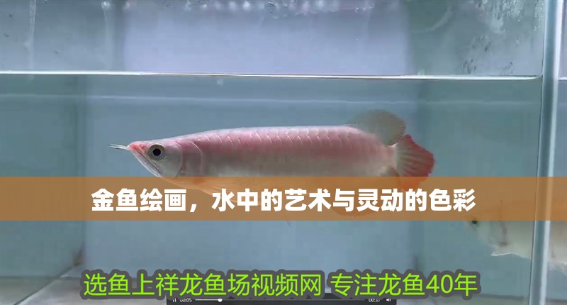 金魚繪畫，水中的藝術(shù)與靈動的色彩