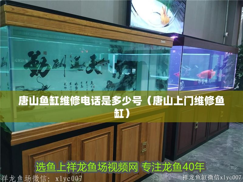 唐山魚缸維修電話是多少號（唐山上門維修魚缸） 唐山魚缸維修電話是多少號（唐山上門維修魚缸） 龍魚百科 第1張