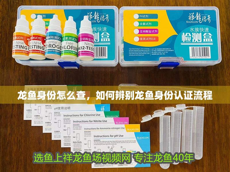 龍魚身份怎么查，如何辨別龍魚身份認證流程