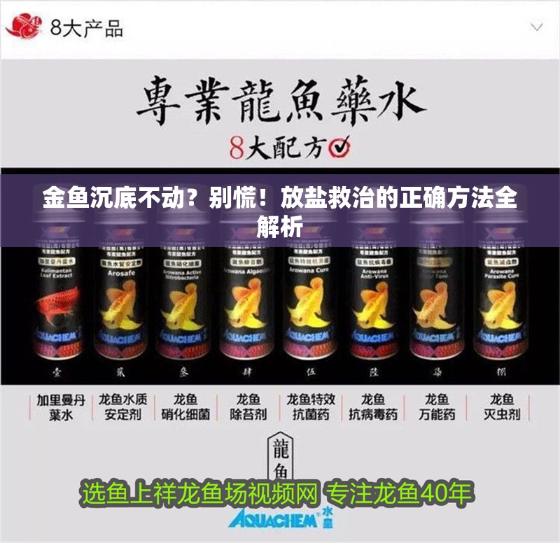 金魚沉底不動？別慌！放鹽救治的正確方法全解析