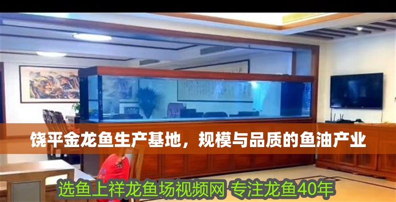 饒平金龍魚生產基地，規模與品質的魚油產業