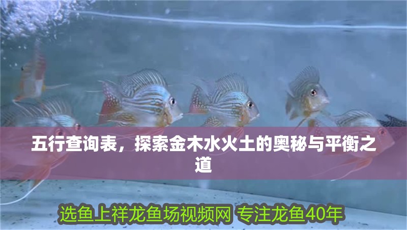 五行查詢表,探索金木水火土的奧秘與平衡之道 龍魚百科 第2張 五行查詢表,探索金木水火土的奧秘與平衡之道 五行查詢表,探索金木水火土的奧秘與平衡之道 龍魚百科 第2張