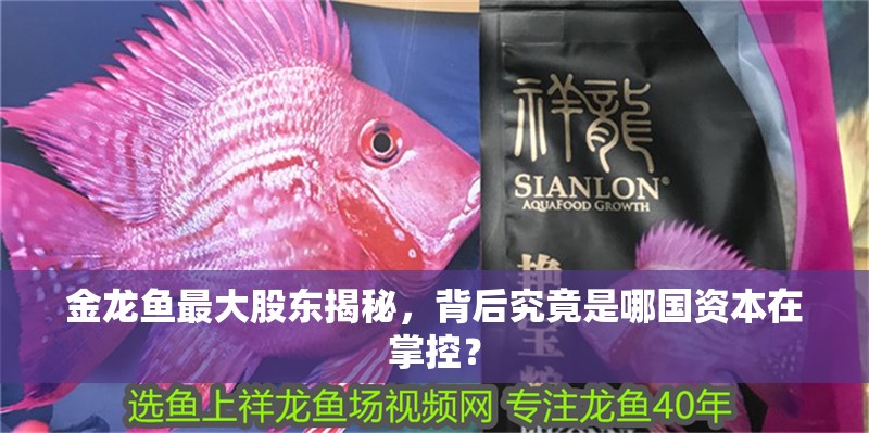 金龍魚最大股東揭秘，背后究竟是哪國資本在掌控？ 金龍魚最大股東揭秘，背后究竟是哪國資本在掌控？ 龍魚百科 第1張