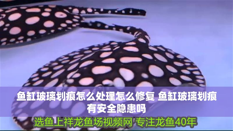 魚缸玻璃劃痕怎么處理怎么修復(fù) 魚缸玻璃劃痕有安全隱患嗎