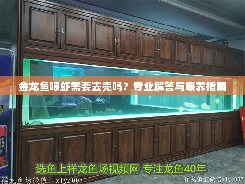 金龍魚喂蝦需要去殼嗎？專業解答與喂養指南