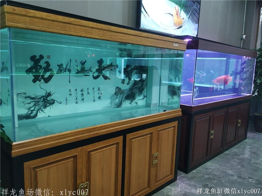 品牌魚缸，首選祥龍魚場——品質卓越，設計新穎，打造您的專屬水族世界！