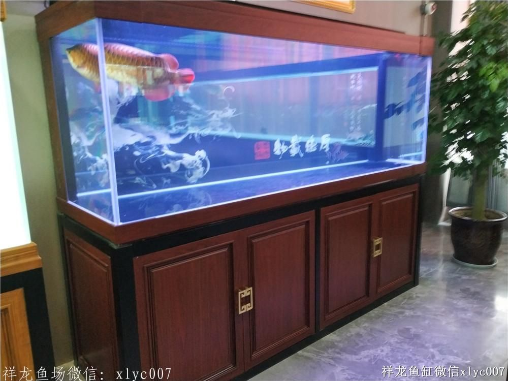 品牌魚缸，首選祥龍魚場——品質卓越，設計新穎，打造您的專屬水族世界！
