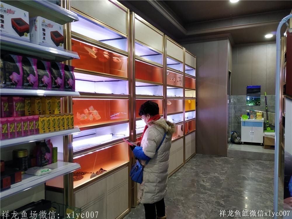 廣州魚缸批發市場——品種豐富,價格實惠,一站式采購您的水族佳選!,廣州魚缸批發市場,品種豐富、價格實惠的一站式水族采購首選,廣州魚缸批發市場,品種豐富、價格實惠的一站式水族采購首選