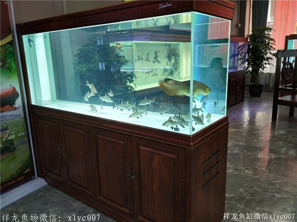 廣州魚缸批發市場——品種豐富,價格實惠,一站式采購您的水族佳選!,廣州魚缸批發市場,品種豐富、價格實惠的一站式水族采購首選,廣州魚缸批發市場,品種豐富、價格實惠的一站式水族采購首選