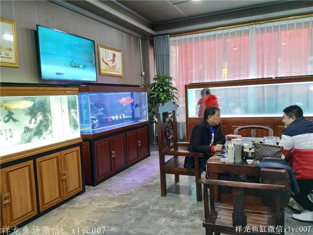 祥龍Sianlon魚缸——品質(zhì)卓越,設(shè)計創(chuàng)新,為您打造夢幻水族館新體驗!